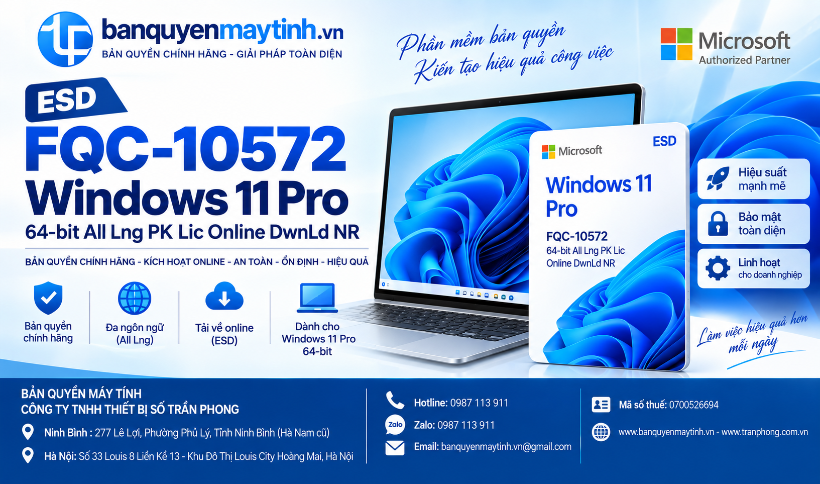 ESD FQC-10572 Win Pro 11 64-bit All Lng PK Lic Online DwnLd NR
